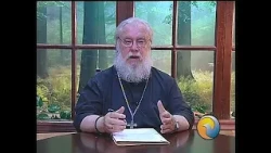 24 Cartas al director