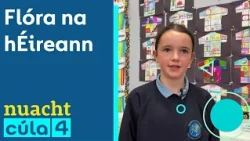 Nuacht Cúla4 | Flóra na hÉireann 🌱